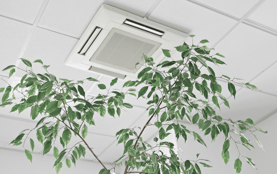 Air-purification-system-enhancing-indoor-air-in-Fergus-Ontario-home-LG-Home-Comfort